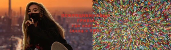 spice Алексин